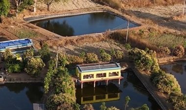 जानिए ट्रिपल इनकम का फार्मूला : खेती में इनोवेशन "तालाब के ऊपर मुर्गी, पानी में मछली,बगल में बागवानी… जशपुर के अंकित का मॉडल बना मिसाल