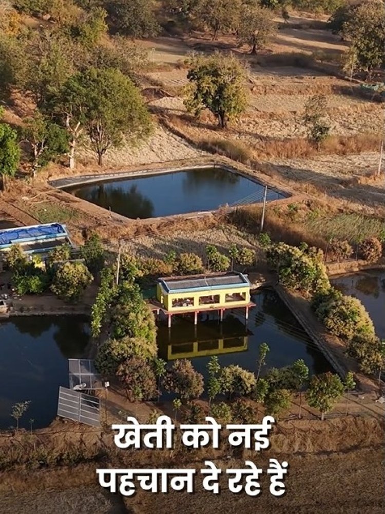 जानिए ट्रिपल इनकम का फार्मूला : खेती में इनोवेशन "तालाब के ऊपर मुर्गी, पानी में मछली,बगल में बागवानी… जशपुर के अंकित का मॉडल बना मिसाल