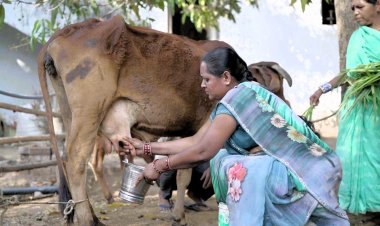 समझिए बदलाव का मंत्र : बालोद का पहला लखपति दीदी ग्राम बना औराटोला