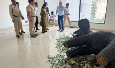 छत्तीसगढ़ में विचरण कर रहे 450 हाथी,संरक्षण की दिशा में  बड़ी पहल