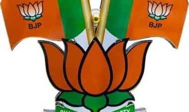 केंद्र सरकार ने सेवा और सुशासन के 12 वर्ष में देश के हर वर्ग को सशक्त बनाया : भाजपा