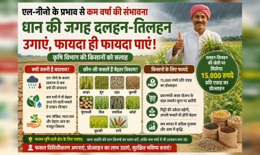 कम वर्षा की स्थिति में वैकल्पिक फसलें बनेंगी किसानों की आय का आधार,15 हजार रुपए प्रति एकड़ मिलेगा प्रोत्साहन