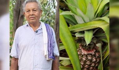 मेड़ पर लगाए कुछ पौधों ने बदली किसान अरुण सॉ की तकदीर,बने प्रेरणा स्रोत