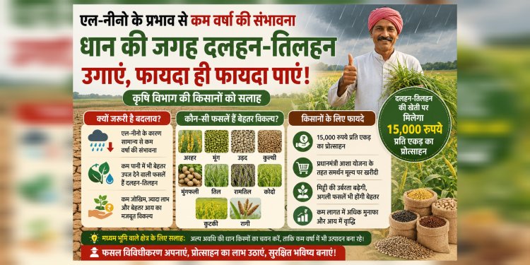 कम वर्षा की स्थिति में वैकल्पिक फसलें बनेंगी किसानों की आय का आधार,15 हजार रुपए प्रति एकड़ मिलेगा प्रोत्साहन