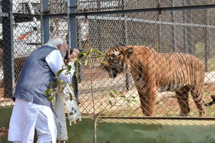 320.15 हेक्टेयर में फैला नंदनवन जंगल सफारी "प्रकृति और वन्यजीव संरक्षण का अनूठा संगम"