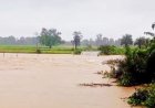 बारिश का कहर : बस्तर और ओडिशा का संपर्क टूटा, पुलिया पर 4 फीट पानी, सड़कों पर लंबा जाम
