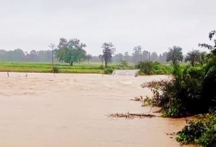 बारिश का कहर : बस्तर और ओडिशा का संपर्क टूटा, पुलिया पर 4 फीट पानी, सड़कों पर लंबा जाम